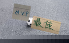 中超官方一口气！公布21-23轮最佳球员候选人 申花只有拉唐入围 隔壁海港有2人